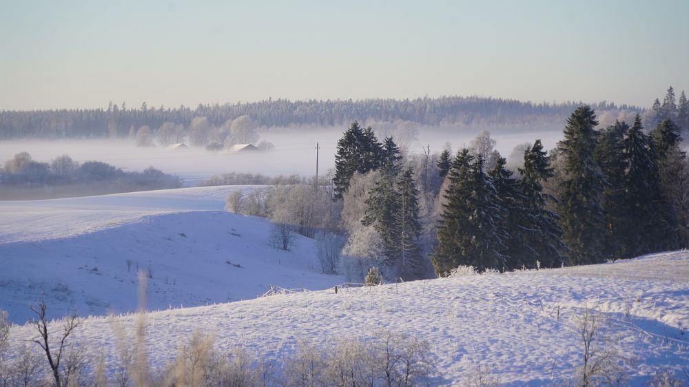 Photograph by Toomas Tõnisalu