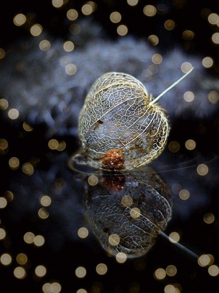 Photograph by Тамара Аржанова