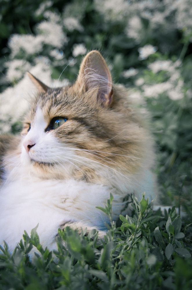 Photograph by Камиль Галеев