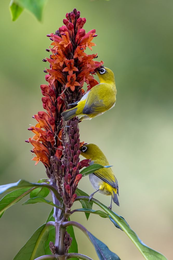 Photograph by Rajib Kumar Dana