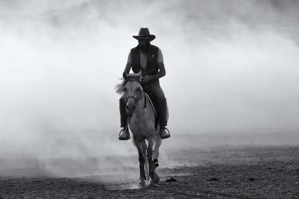 Фотография автора Aylin Turnator