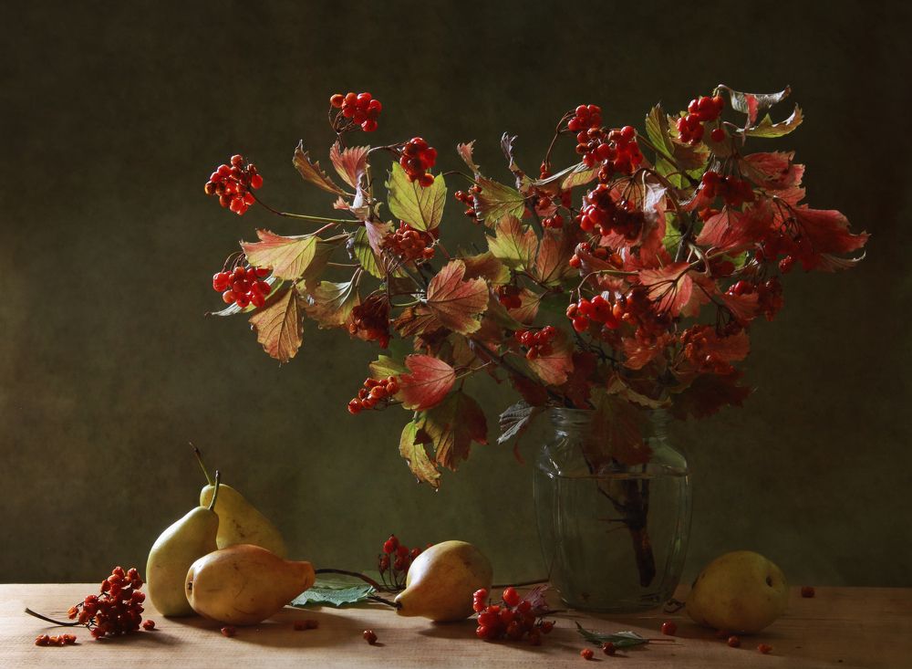 Фотография автора Дарья Шамакина