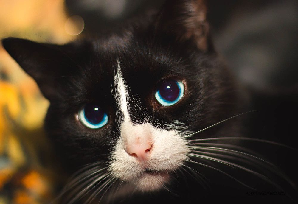 Photograph by Александр Волков