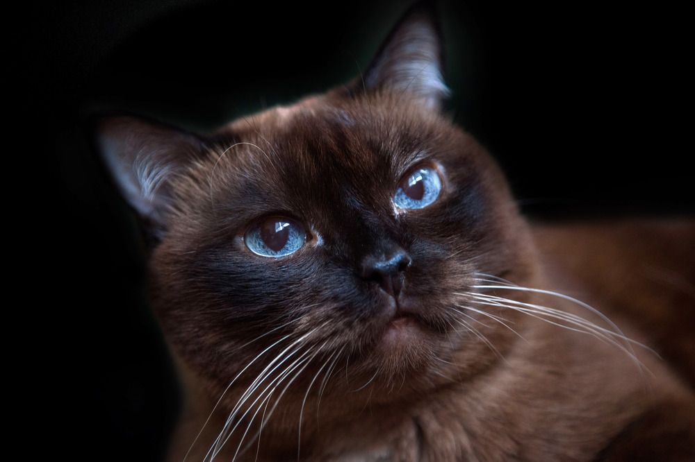 Photograph by Анастасия Глазюк