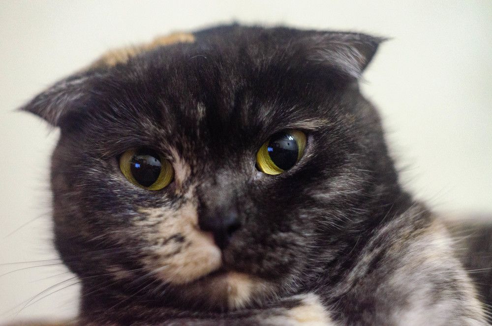 Photograph by Вадим Басов