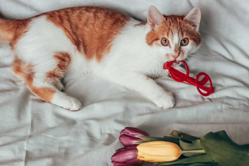 Photograph by Liudmila Pilets