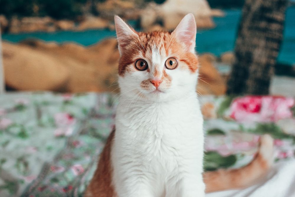 Photograph by Liudmila Pilets