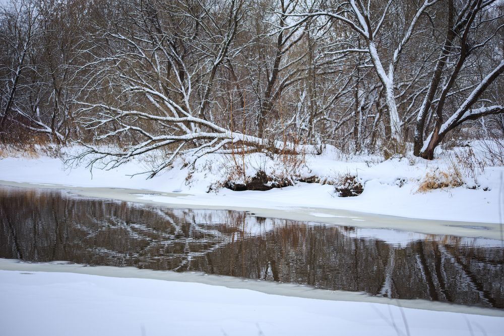 Photograph by Vasily Prokhorov