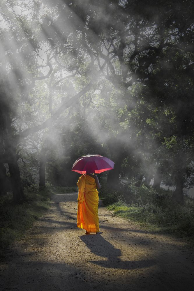 Photograph by Nadeeka priyadarshana