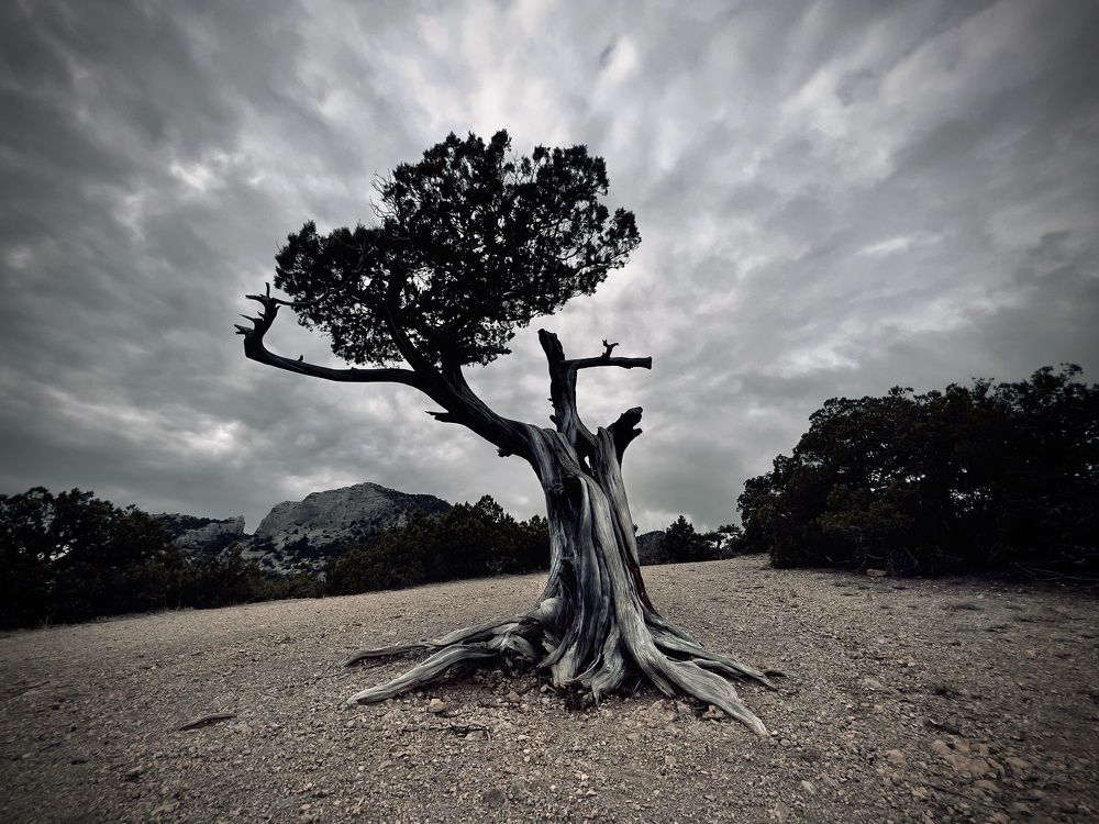 Photograph by Сергей