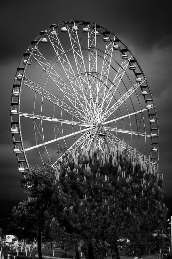 Photograph by Юлия Мамадалиева