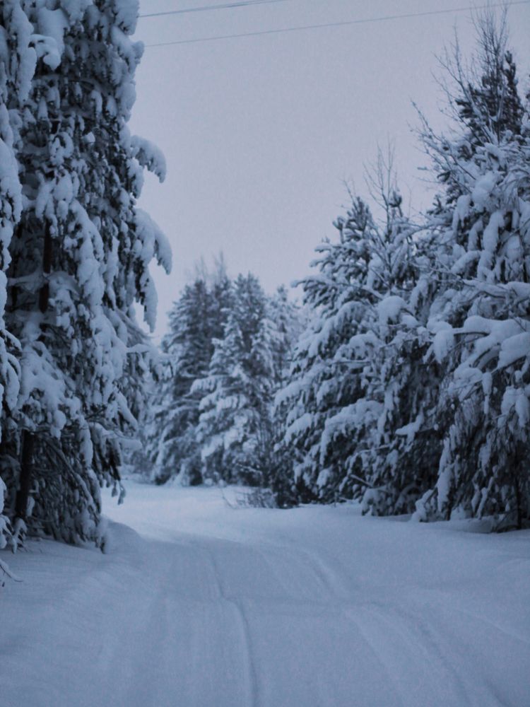 Photograph by Юлия Ерофеева