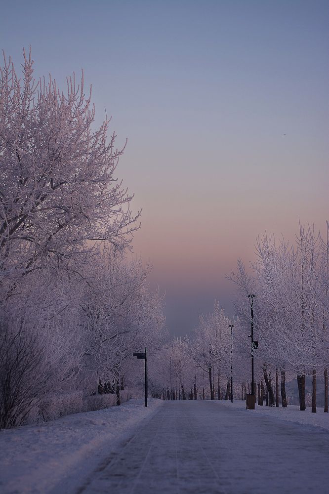 Photograph by TATYANA PEREVALOVA