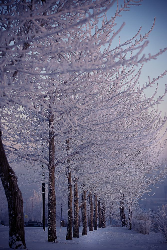 Photograph by TATYANA PEREVALOVA