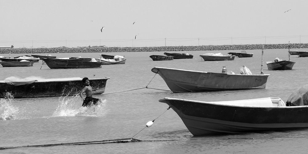 Photograph by Javad Tafti Farashah