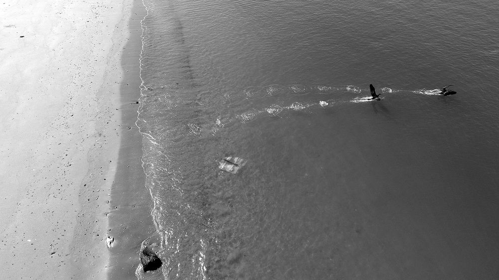 Photograph by Javad Tafti Farashah