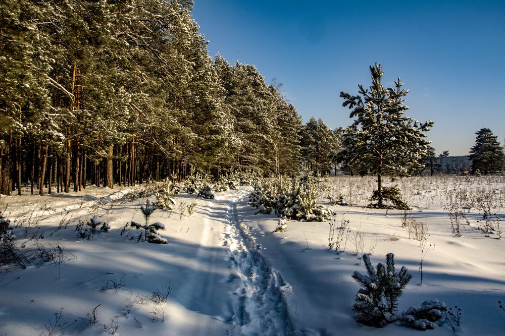 Фотография автора Анатолий Мацеля