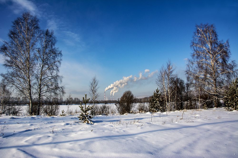 Фотография автора Анатолий Мацеля