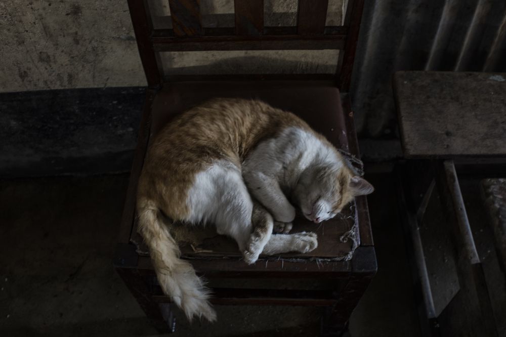 Photograph by Pere Arnaldo