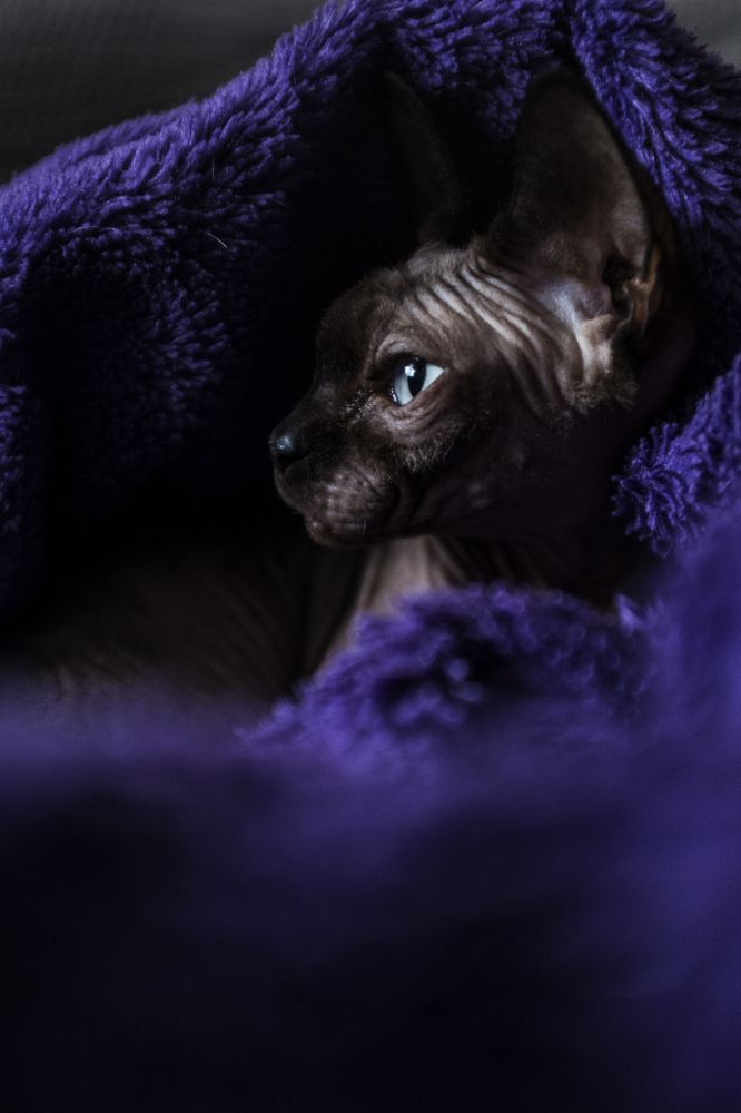 Photograph by Pere Arnaldo