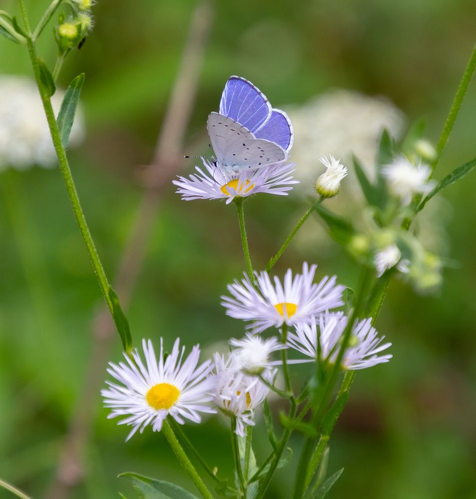 Photograph by Эдуард Седельник