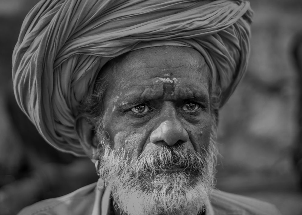 Portrait of a Devotee