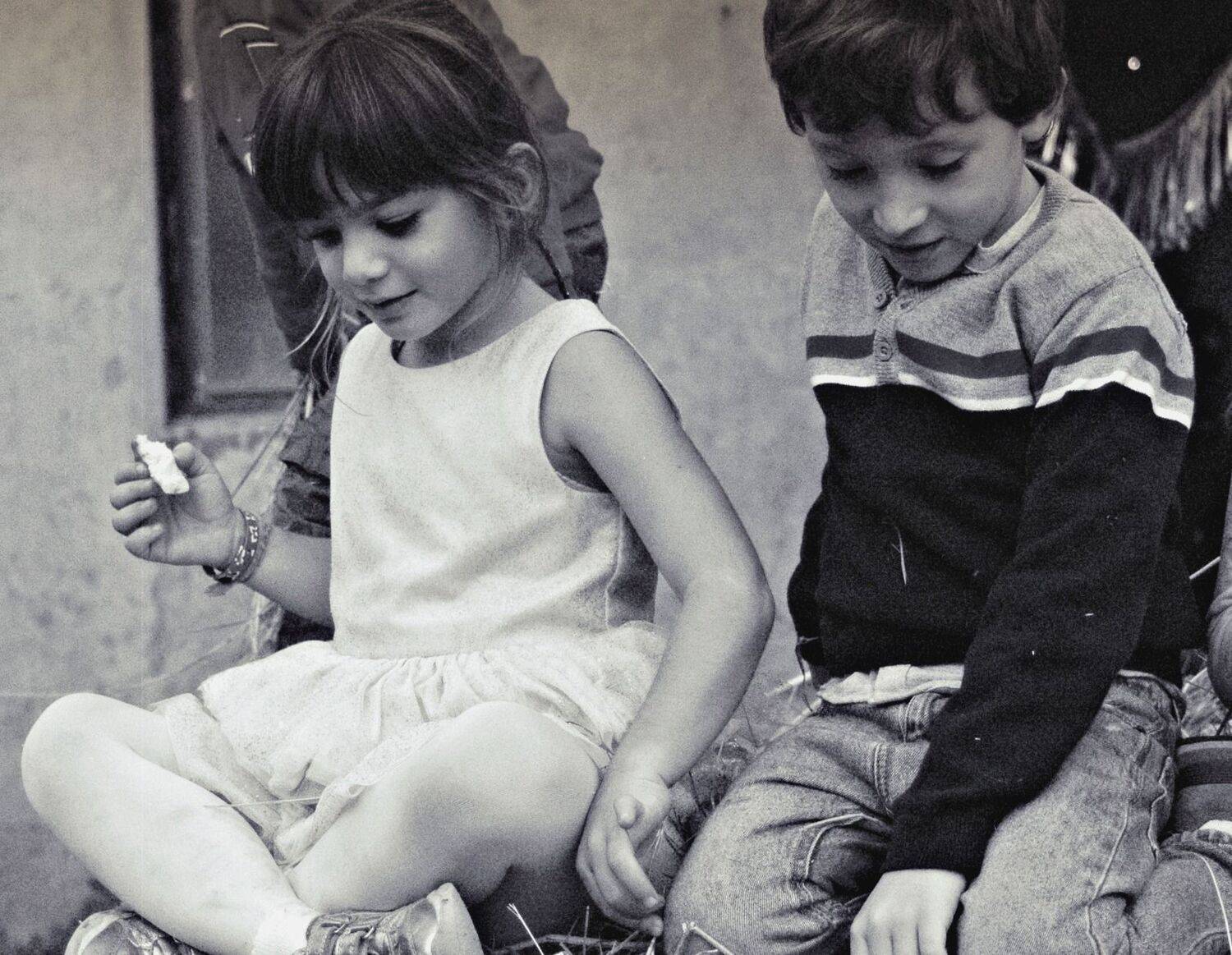 Photo #8712393