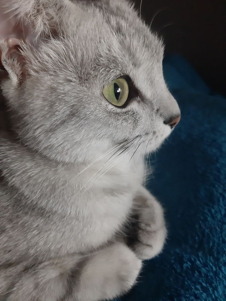 Photograph by arikacat