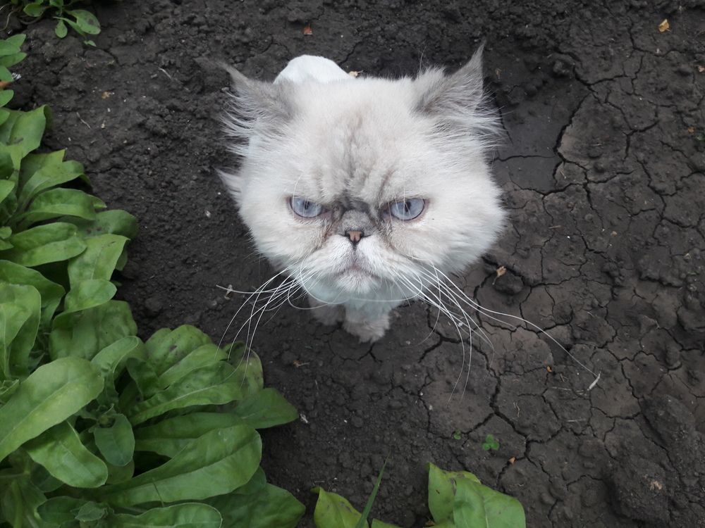 Photograph by arikacat