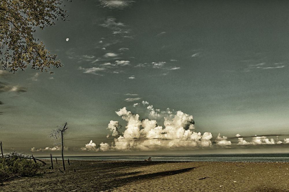 Photograph by Эдуард Седельник