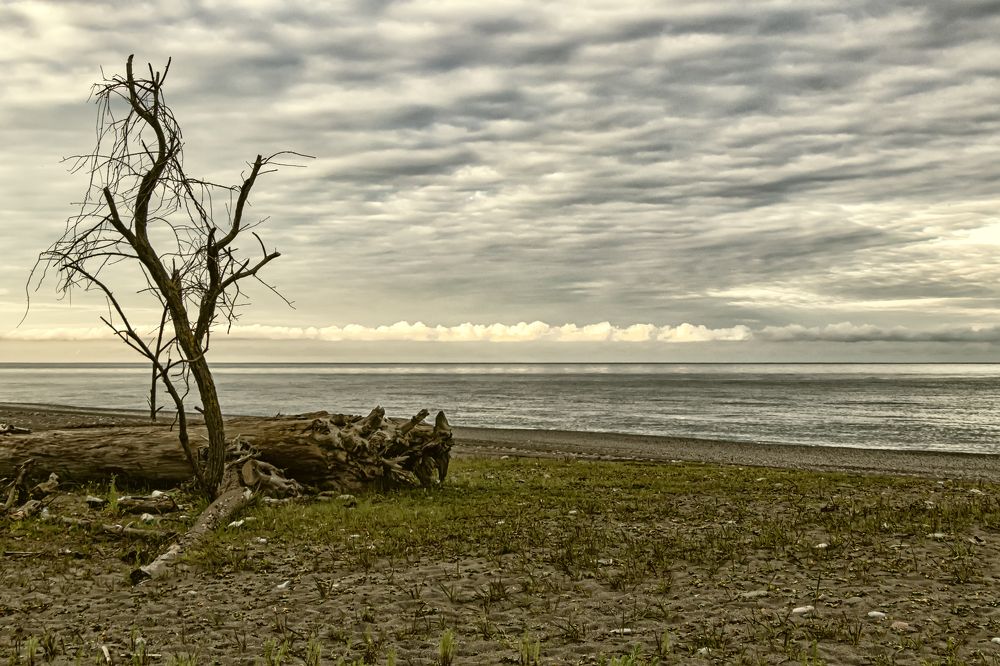 Photograph by Эдуард Седельник