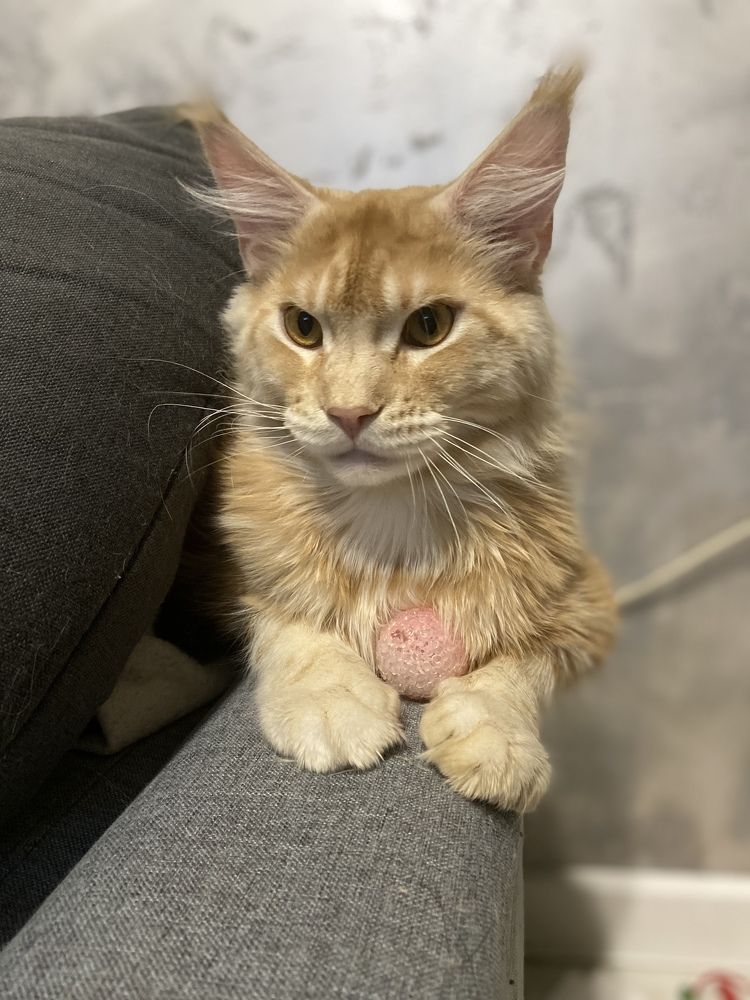 Photograph by Юлия Зеленева