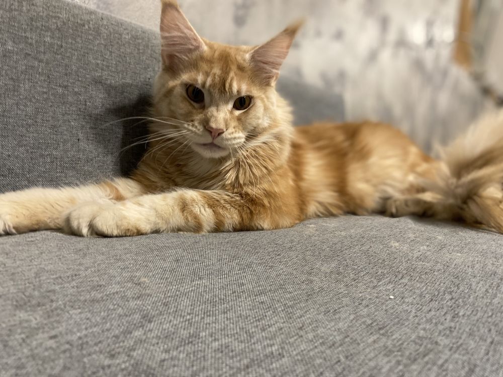 Photograph by Юлия Зеленева