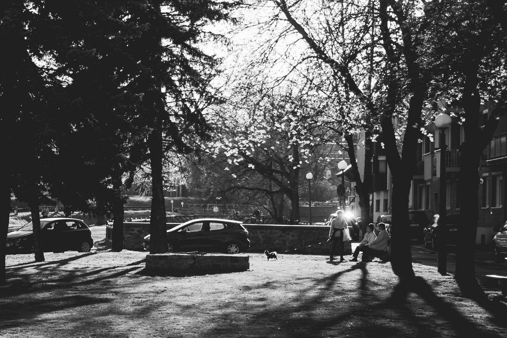 Photograph by Karácsony  Miklós