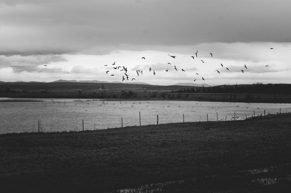 Photograph by Karácsony  Miklós