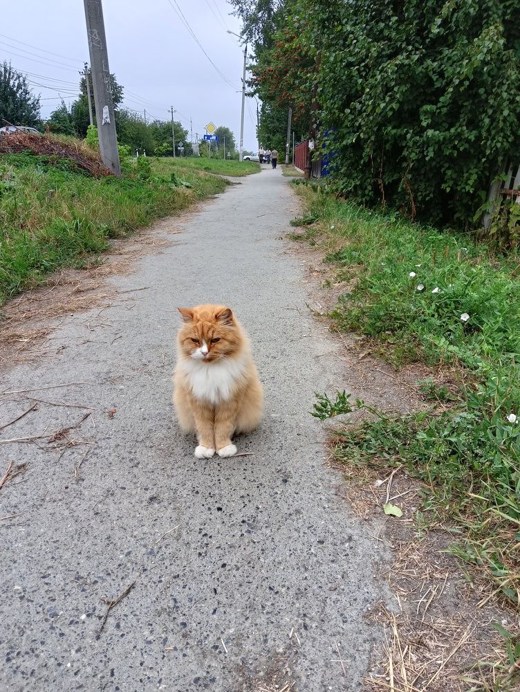 Photograph by Катерина Федотова