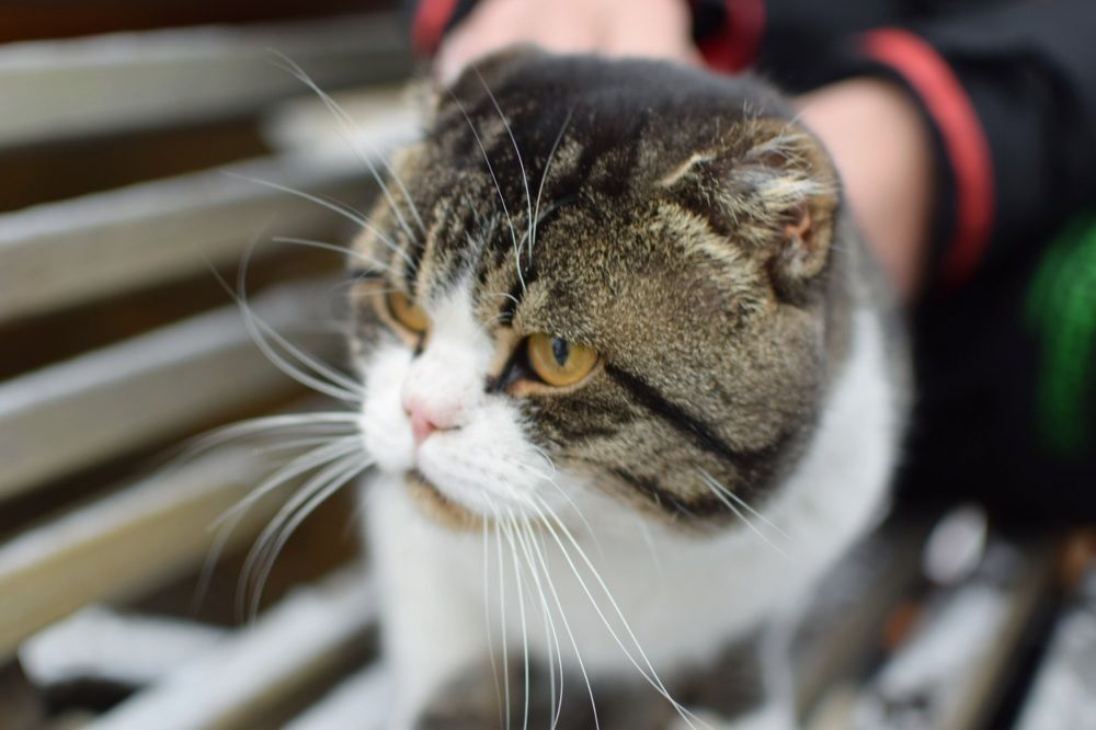 Photograph by Анна Киселева