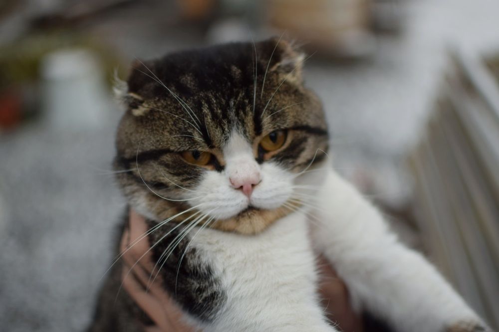 Photograph by Анна Киселева