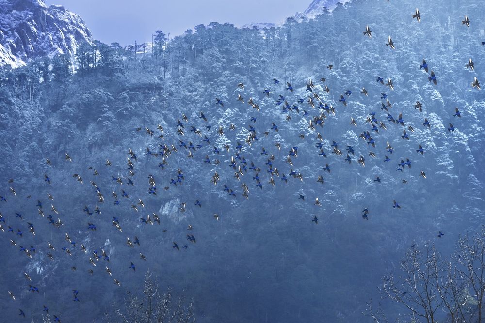 Photograph by Soumya Bhattacharyya