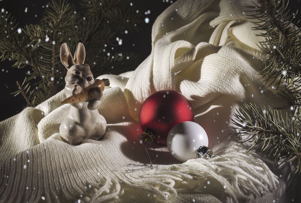 Photograph by Евгений Попов