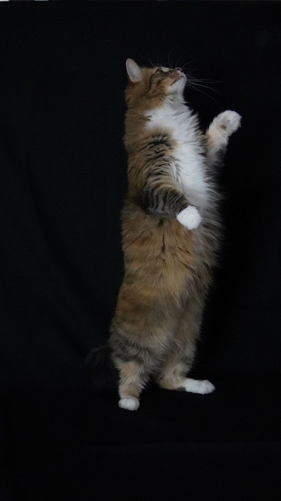 Photograph by Toomas Tõnisalu