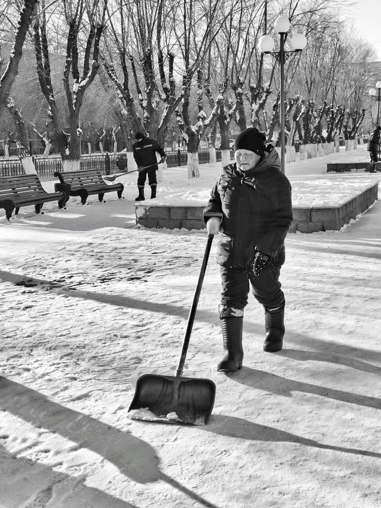 Photograph by Светлана