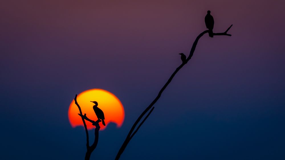 Photograph by Sooraj Jayaraj