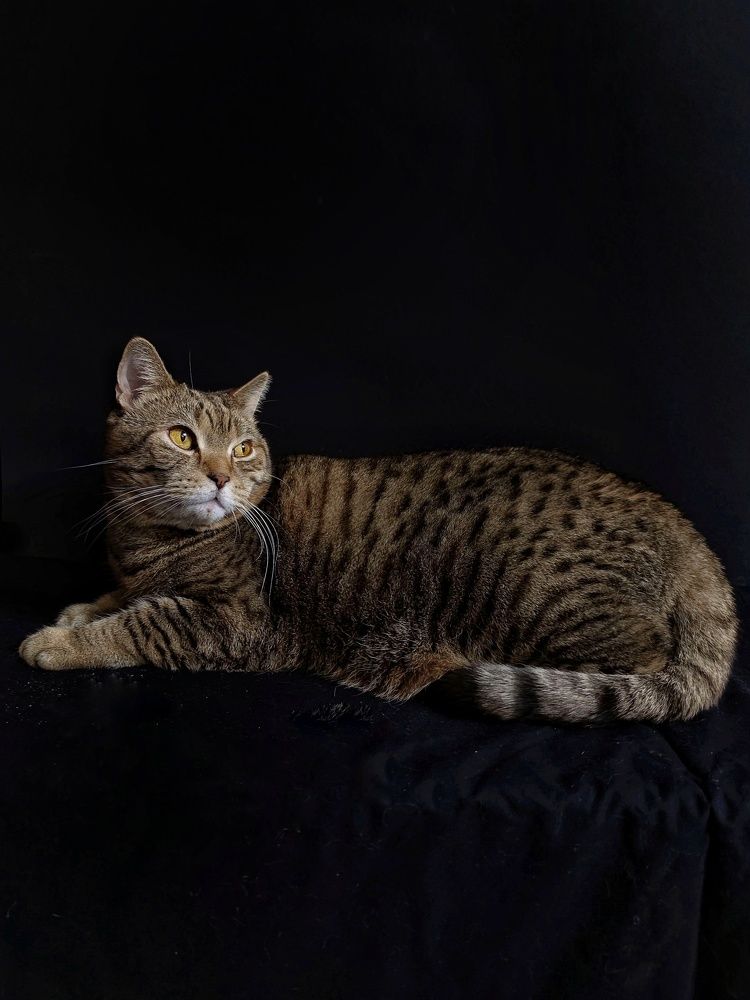 Photograph by Светлана