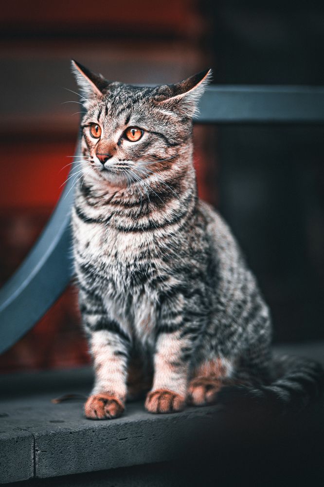 Photograph by Владислав Данилов