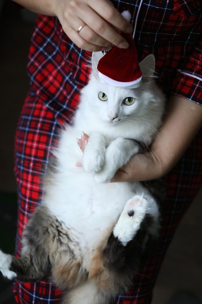 Photograph by Татьяна Скворцова