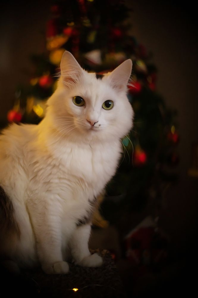 Photograph by Татьяна Скворцова