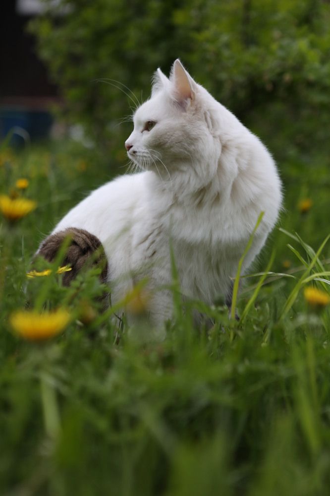 Photograph by Татьяна Скворцова