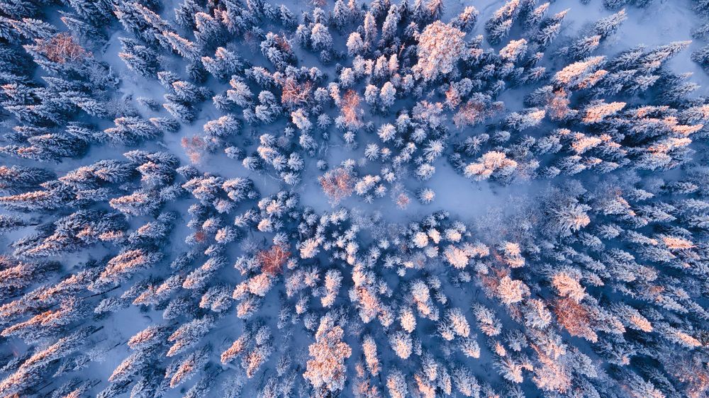 Photograph by Павел Петухов