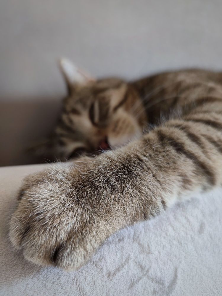 Photograph by Светлана